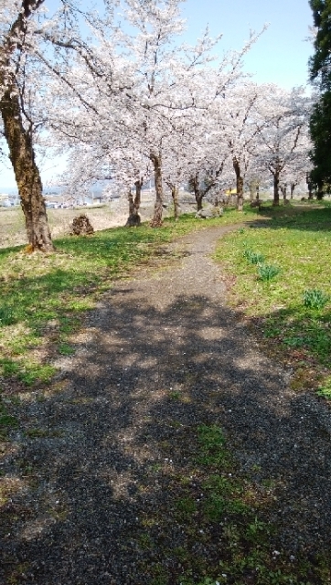 鎌倉桜ケ岡公園 ガーデニング畑